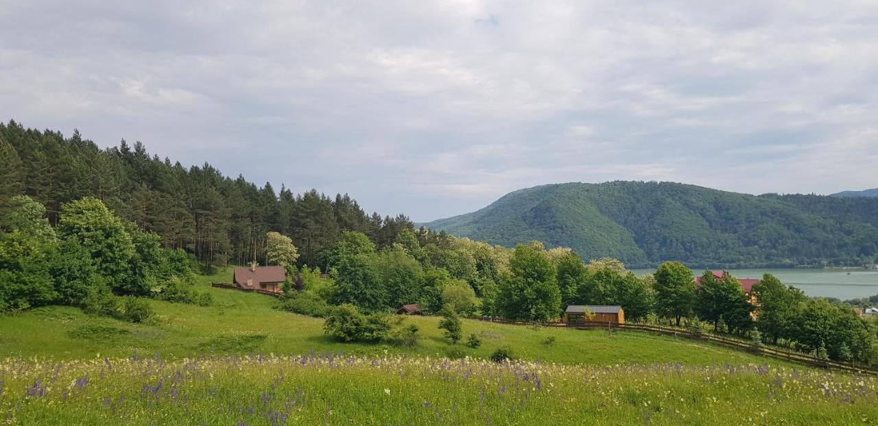 Ferienwohnung Casuta Din Padure Piatra Neamţ Exterior foto