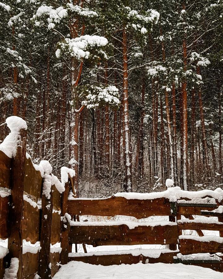 Ferienwohnung Casuta Din Padure Piatra Neamţ Exterior foto