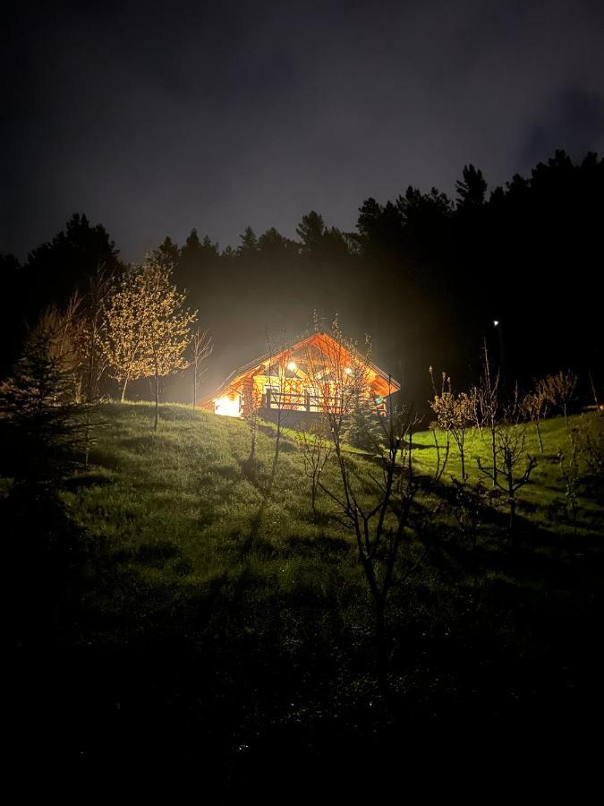 Ferienwohnung Casuta Din Padure Piatra Neamţ Exterior foto