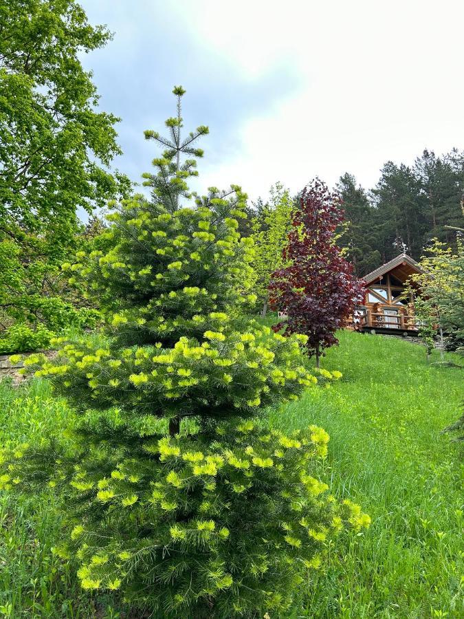 Ferienwohnung Casuta Din Padure Piatra Neamţ Exterior foto