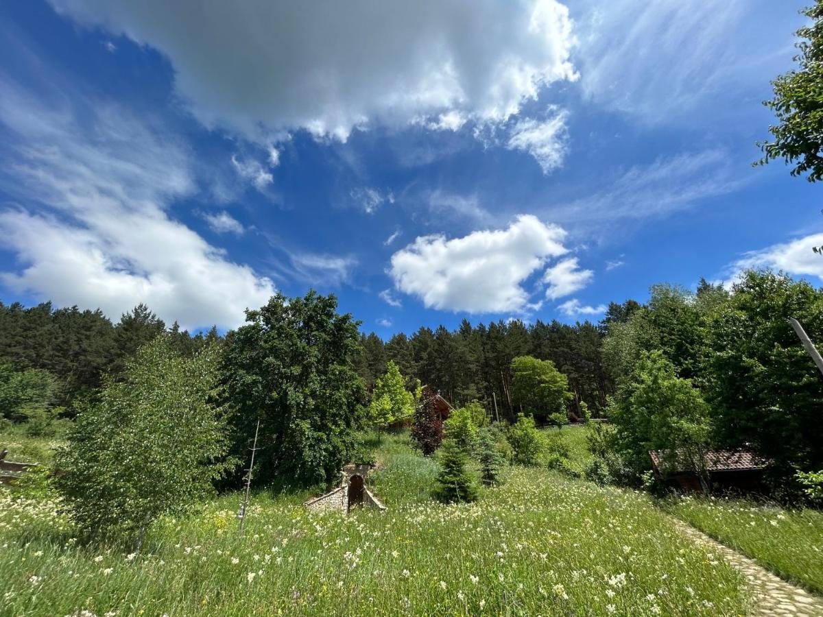 Ferienwohnung Casuta Din Padure Piatra Neamţ Exterior foto