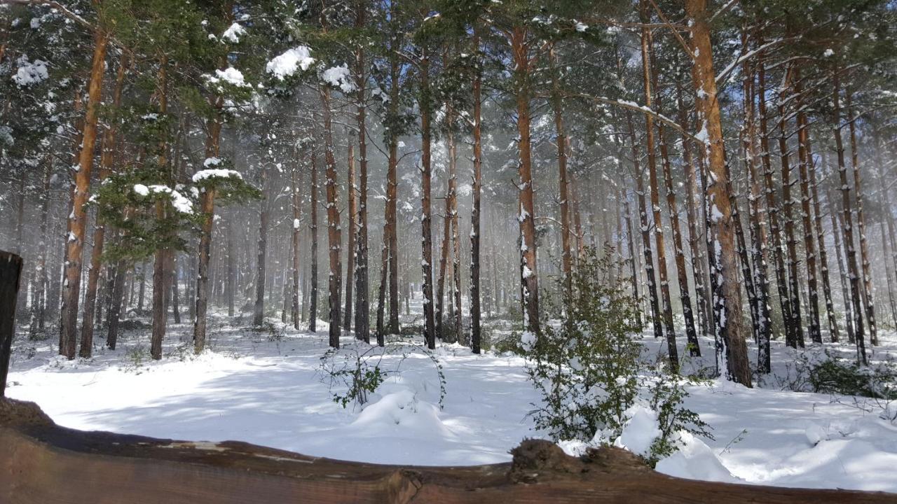 Ferienwohnung Casuta Din Padure Piatra Neamţ Exterior foto